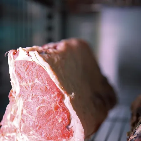 Ośrodek wypoczynkowy Agroturizem Kodra E Kuajve