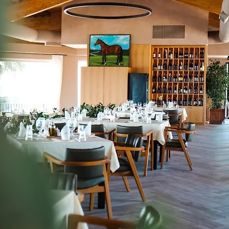 Resort Agroturizem Kodra E Kuajve Shkallnur