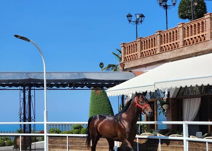 Agroturizem Kodra E Kuajve Resort 4*