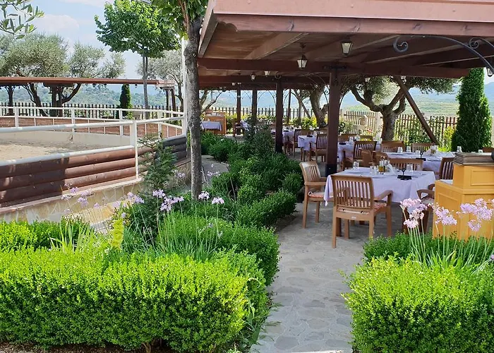 Agroturizem Kodra E Kuajve Shkallnur